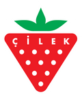 Çilek Mobilya logosu