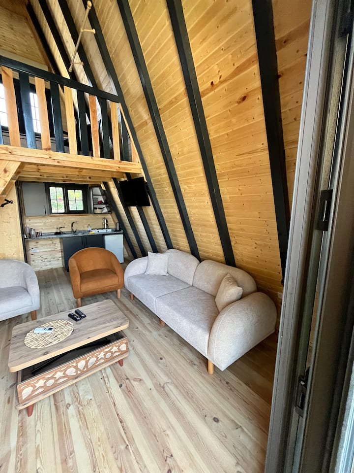En İyi Tekirdağ Kamp Alanları Cozycozy