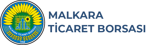 İletişim Bilgileri