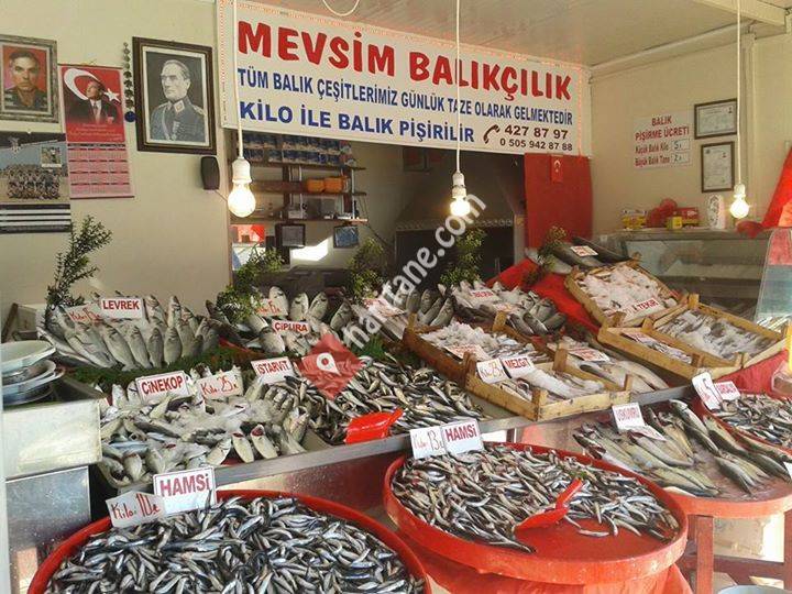 Mevsim Balıkcılık