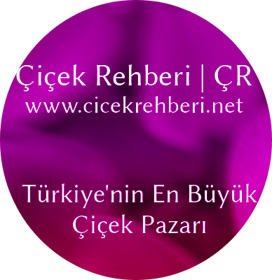 Malkara Tekirdağ Çiçekçileri Çiçek Rehberi › cicekci-malkara-tekirdag