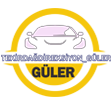 Tekirdağ Özel Direksiyon Eğitmeni Güler logosu
