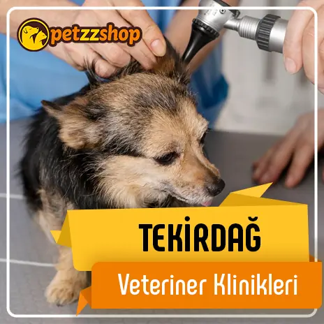 Tekirdağ Veteriner Klinikleri Petzzshop